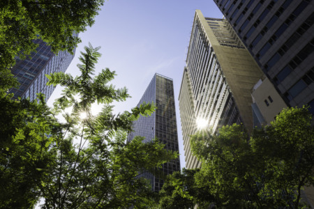 Modern Office Buildings With Trees Below and Sun Reflection in City Downtown. Modern Office Buildings With Trees Below and Sun Reflection in City Downtown.
