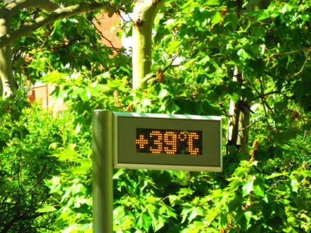 gentrificação climática gentrificação climática