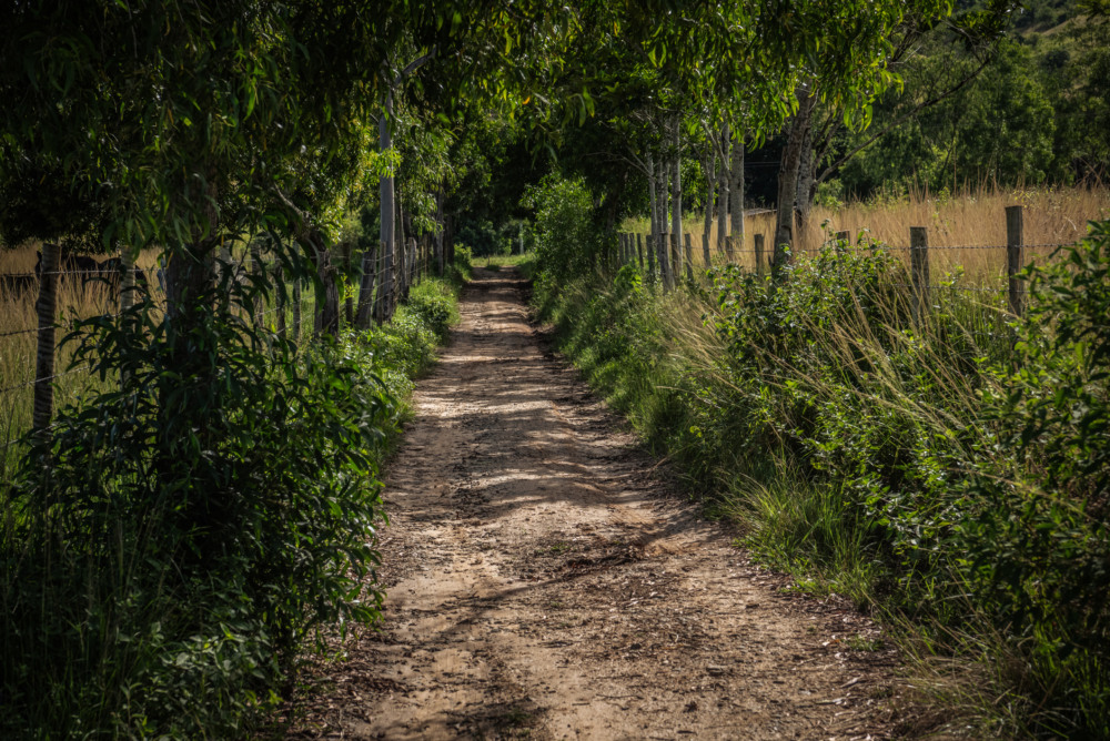 Estrada em uma área rural; saiba por que gleba chama a atenção do mercado imobiliário Estrada em uma área rural; saiba por que gleba chama a atenção do mercado imobiliário