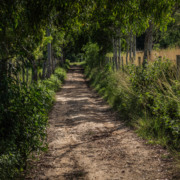 Estrada em uma área rural; saiba por que gleba chama a atenção do mercado imobiliário Estrada em uma área rural; saiba por que gleba chama a atenção do mercado imobiliário
